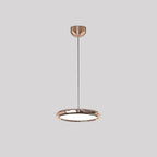 Arisha Minimalist Circular Metal Pendant Light,Silver/Gold/Rose Gold