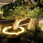 Ray Modern Irregular Metal/Glass Outdoor Ground Light for Trees Black