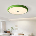 Valentina Modern LED Flush Mount Ceiling Light Metal Living Room