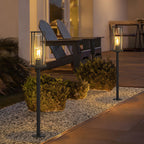 Ray Metal Cylindrical Lantern Shaped Solar Outdoor Path Light, Black