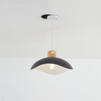 Valentina Colorful Shade Single Pendant Lights, Wood & Metal
