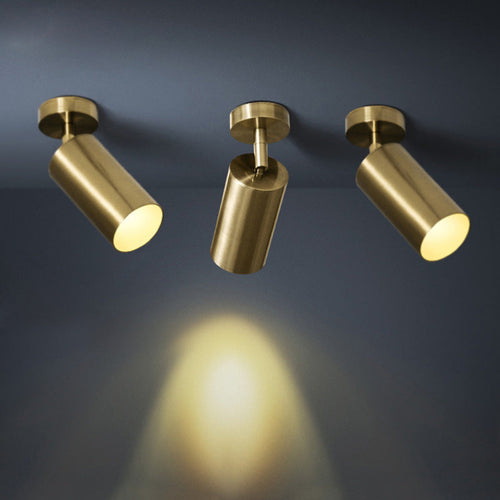 Aria Moderno Gold Cylinder Spotlight Background Flush Mount Ceiling Light, Metal