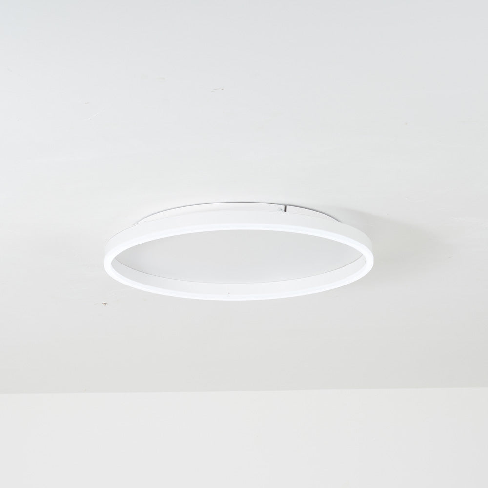 Olen Flush Mount Ceiling Light