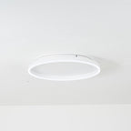 Olen Flush Mount Ceiling Light