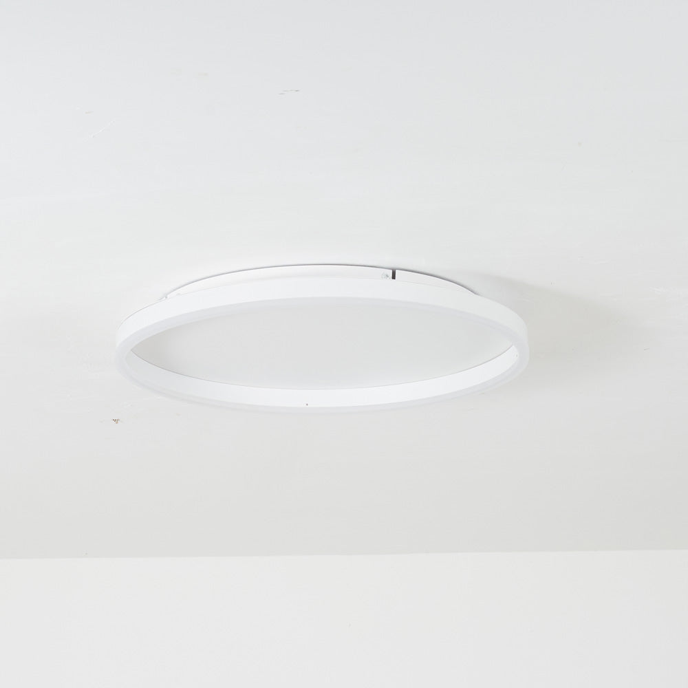Olen Flush Mount Ceiling Light