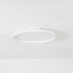 Olen Flush Mount Ceiling Light