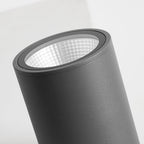 Ray Modern Black Cylindrical Flush Mount Ceiling Light Spotlight