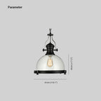 Silva Vintage Hemispherical Glass Pendant Light, Black