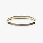Arisha Modern Ring Metal/ Flush Mount Ceiling Lights, Silver
