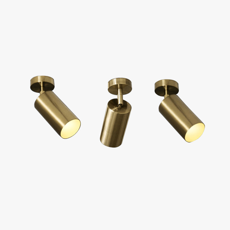Aria Moderno Gold Cylinder Spotlight Background Flush Mount Ceiling Light, Metal