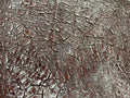 Wabi-Sabi Wall Art #TX426
