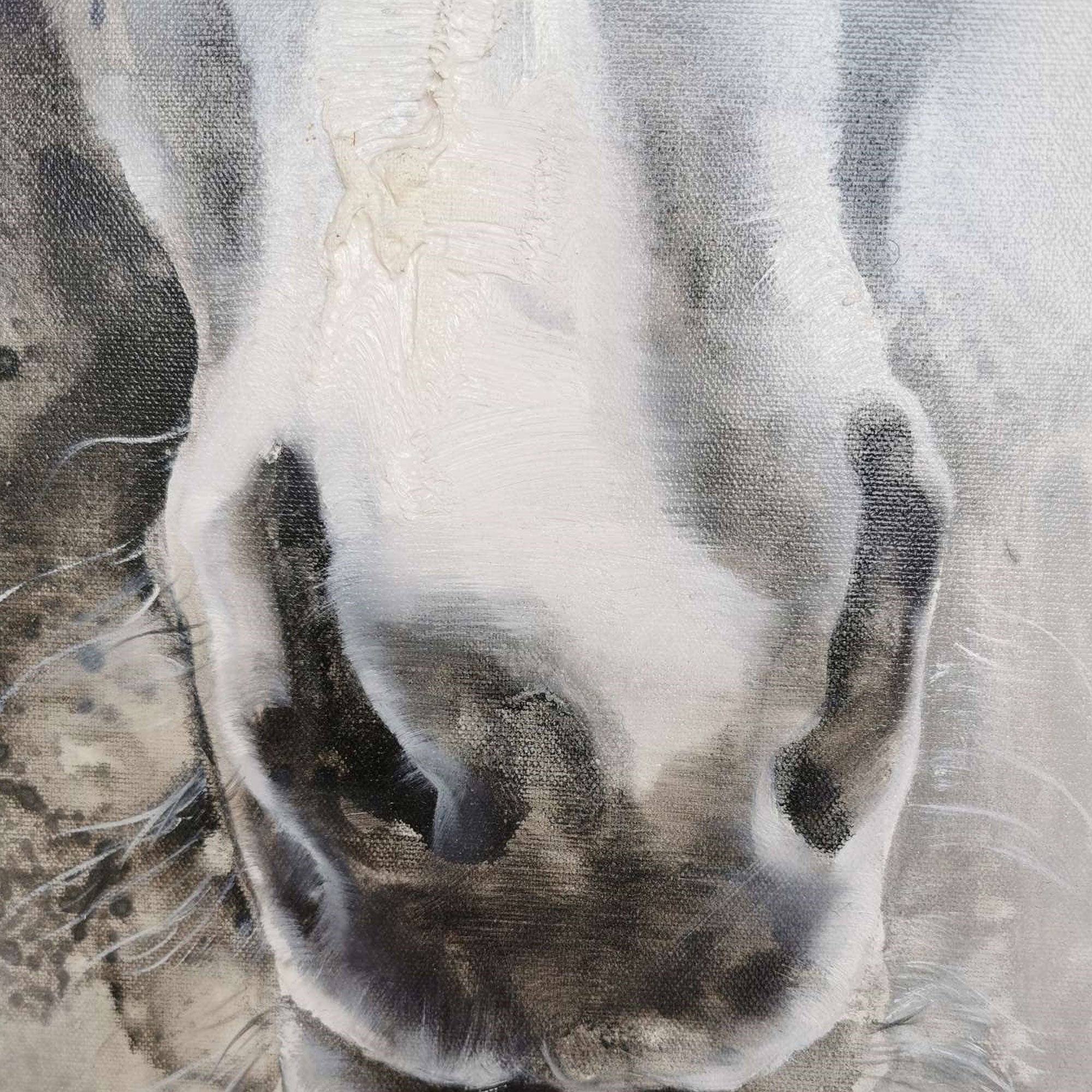 Monochrome Horse Head Oil Painting