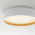 Vuna Ceiling Light