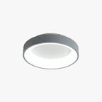 Aera Ceiling Light