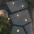 Ray Modern Cat Paw Metal/ Outdoor In Ground Light