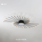 Wesley Modern Home Decoration Fireworks LED Ceiling Light - product image 12