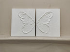 Monochrome Butterfly Wing Oil Painting