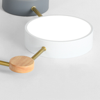 Arisha Modern LED Ceiling Light Log Living Room Bedroom White Grey