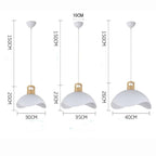Valentina Colorful Shade Single Pendant Lights, Wood & Metal