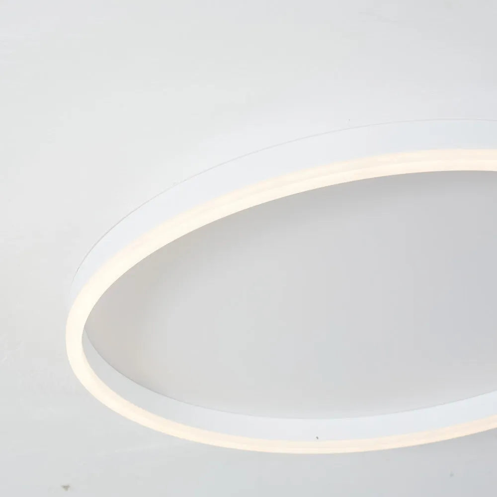Olen Flush Mount Ceiling Light