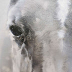 Monochrome Horse Head Oil Painting