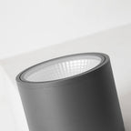 Ray Modern Black Cylindrical Flush Mount Ceiling Light Spotlight