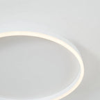Olen Flush Mount Ceiling Light