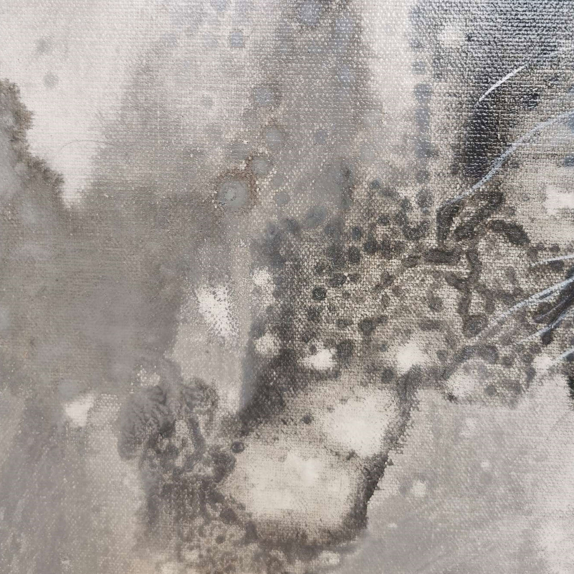 Monochrome Horse Head Oil Painting