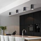Ray Modern Black Cylindrical Flush Mount Ceiling Light Spotlight