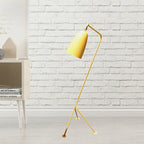Morandi Modern Metal Cup Black Floor Lamp, Multi Colors