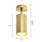 Aria Moderno Gold Cylinder Spotlight Background Flush Mount Ceiling Light, Metal