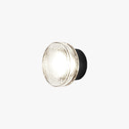 Ray Modern Mini Bubble Metal/Glass Outdoor Wall Lamp, Transparent