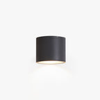 Ray Modern Black Cylindrical Flush Mount Ceiling Light Spotlight