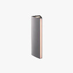 Ray Modern Triangular Prism Metal Outdoor Wall Lamp, Black/Silver