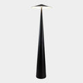 Salgado Modern Saucer Shaped Metal Floor Lamp,Black