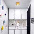 Jojo Cylindrical Flush Mount Ceiling Light