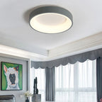 Aera Ceiling Light