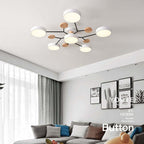 Arisha Ceiling Light, Wood Round for Living Room