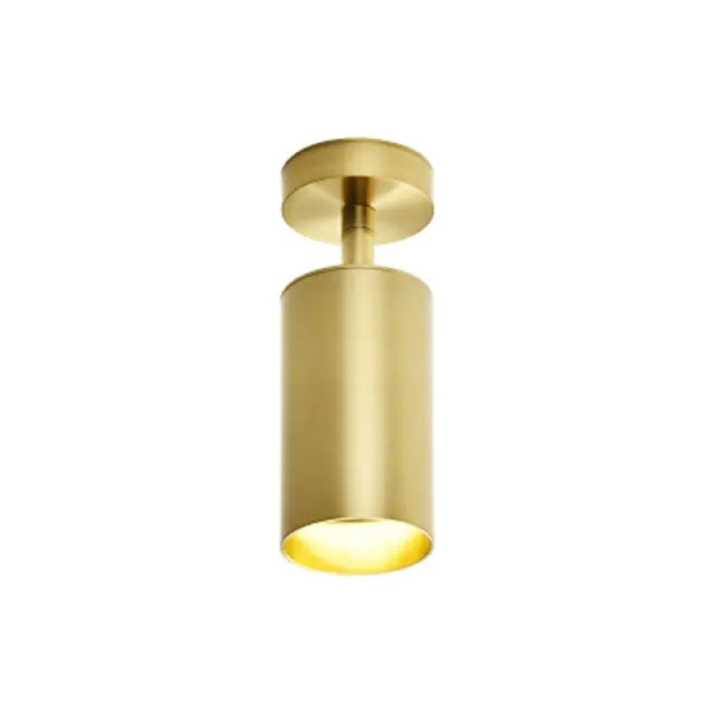 Aria Moderno Gold Cylinder Spotlight Background Flush Mount Ceiling Light, Metal