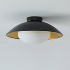 Arinora Ceiling Light