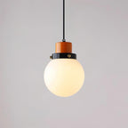 Duvon Globe Pendant Lamp