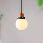 Duvon Globe Pendant Lamp