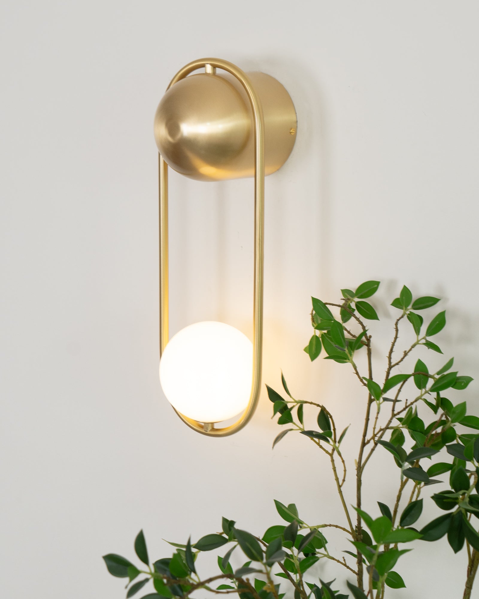 Wall Lamp with Brass Loop Frame and Glass Globe