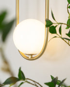 Wall Lamp with Brass Loop Frame and Glass Globe