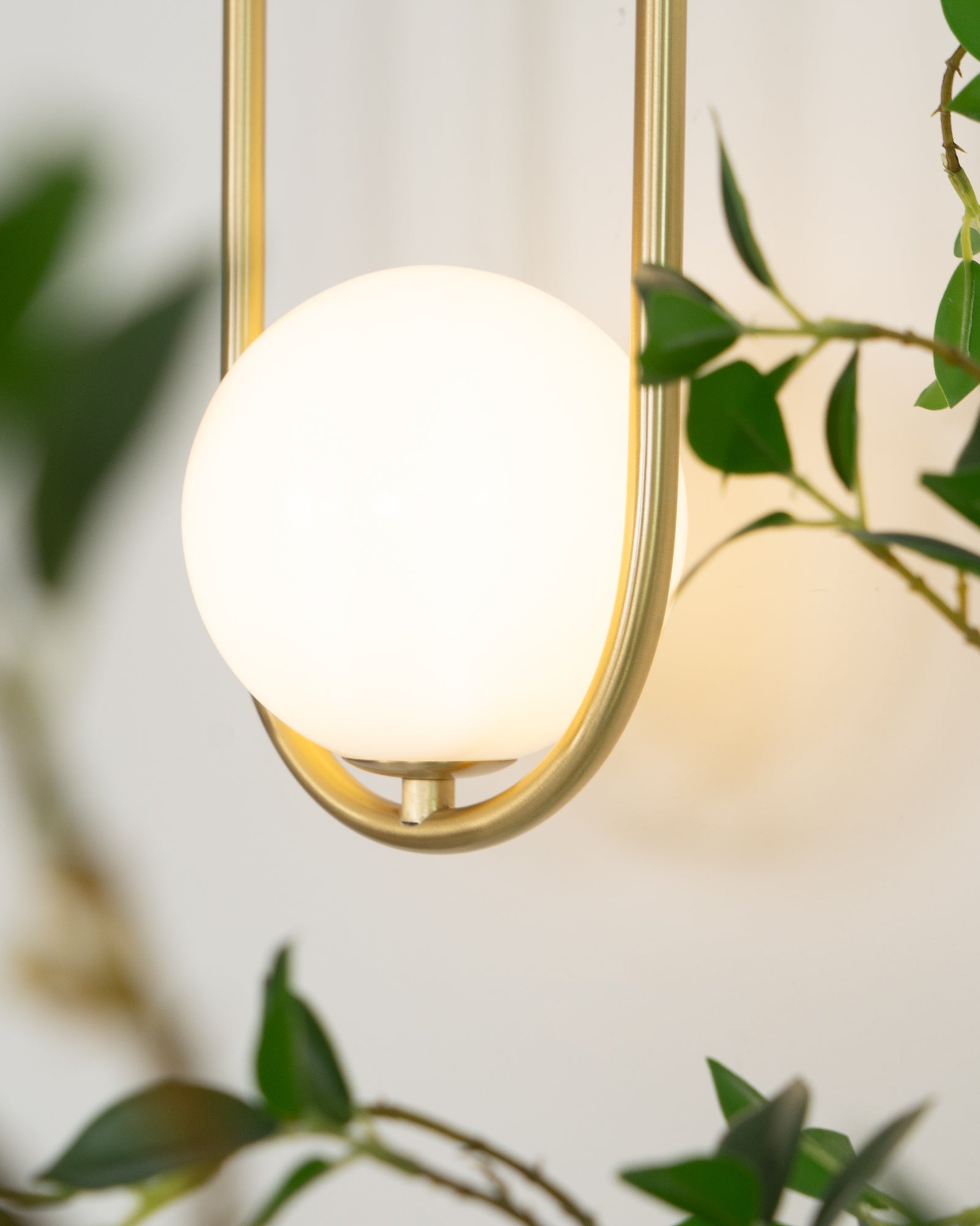 Wall Lamp with Brass Loop Frame and Glass Globe