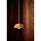 Aurelia Modern Minimalist Elegance Brass Metal Glass Pendant Lamp