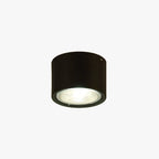 Arisha Modern Round Flush Mount Ceiling Light, Wood/Black, Living Room