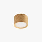 Arisha Modern Round Flush Mount Ceiling Light, Wood/Black, Living Room