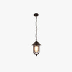 Ray Retro Lantern Metal Pendant Light, Black/Bronze