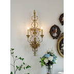 Aevuvyu Premium Vintage Industrial Metal Wall Lamp